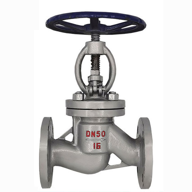 Stainless steel globe valve