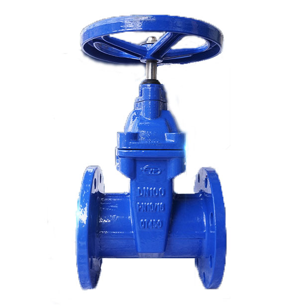 Ductile iron gate valve