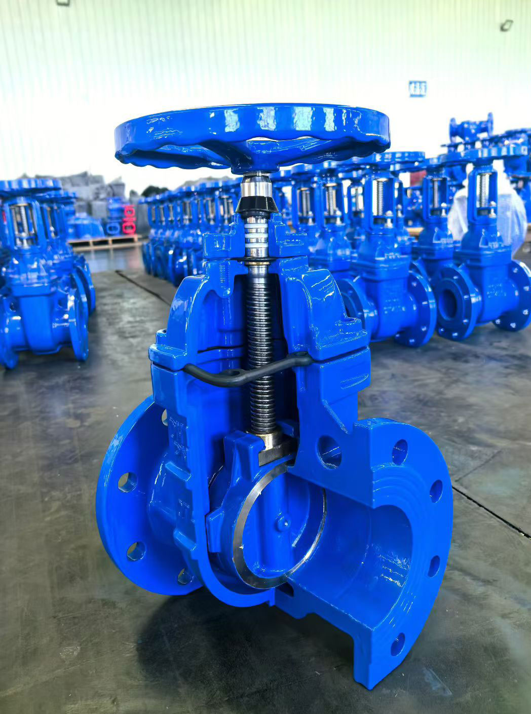 Ductile iron gate valve
